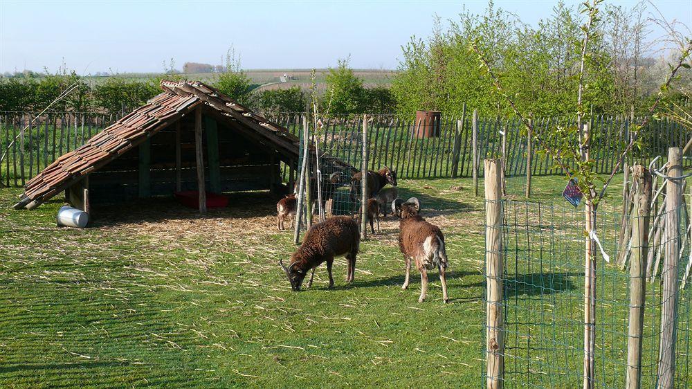 Rikkeshoeve Vakantiewoning Aalst Ngoại thất bức ảnh